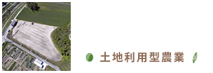 土地利用型農業-都市近郊農業・共創農業。これからの農業に大切なこと。