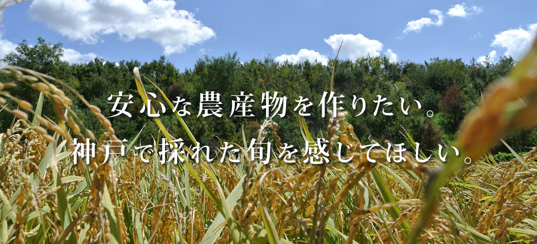 小池農園こめハウス | 神戸米の生産・販売神戸市西区の株式会社・小池 
